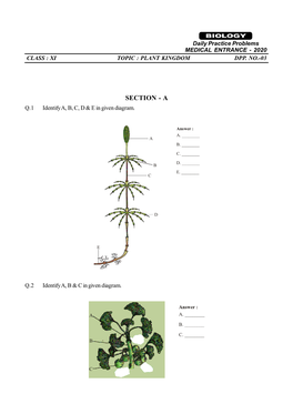 Plant Kingdom Dpp. No.-03