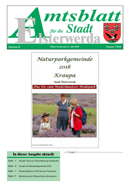 Amtsblatt-07-2018