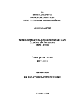 Türk Sinemasi'nda Sosyoekonomik Yapi Üzerine Bir Inceleme (2013 - 2018)