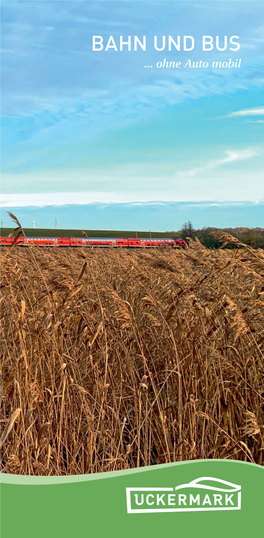 BAHN UND BUS … Ohne Auto Mobil Dem Auto Urlaub Gönnen …