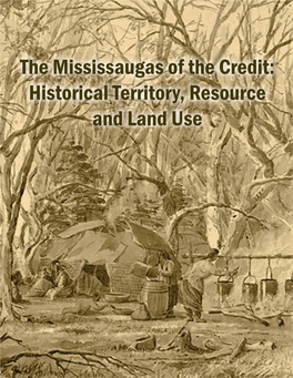 The Mississaugas of the Credit: Historical Territory, Resource and Land Use INTRODUCTION