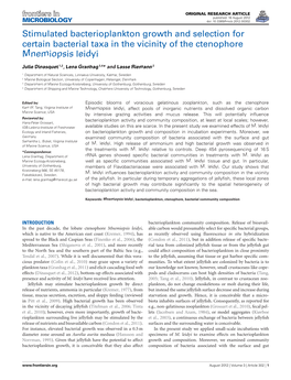 Stimulated Bacterioplankton Growth and Selection for Certain Bacterial Taxa in the Vicinity of the Ctenophore Mnemiopsis Leidyi