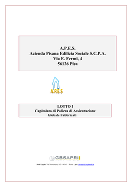 Capitolato Tecnico Lotto I – Globale Fabbricati APES Pisa Pag
