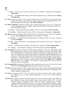 'Camellia T'. Synonym for 'Donckelaeri'. (Masayoshi). TC Cole