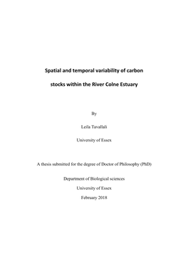 Spatial and Temporal Variability of Carbon Stocks Within the River