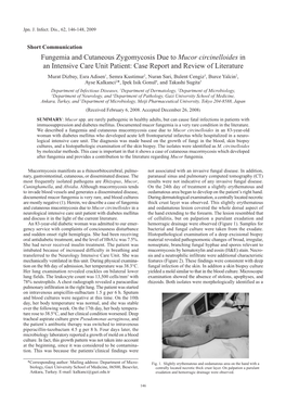 Fungemia and Cutaneous Zygomycosis Due to Mucor