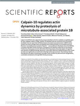 Calpain-10 Regulates Actin Dynamics by Proteolysis of Microtubule-Associated Protein 1B