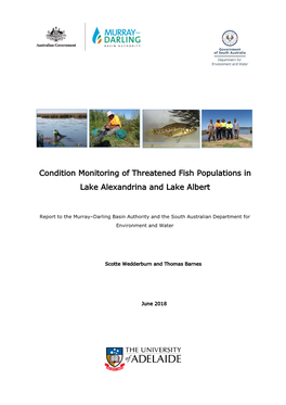 Condition Monitoring of Threatened Fish Populations in Lake Alexandrina and Lake Albert