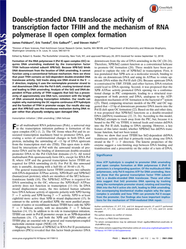 Double-Stranded DNA Translocase Activity of Transcription Factor TFIIH and the Mechanism of RNA Polymerase II Open Complex Formation