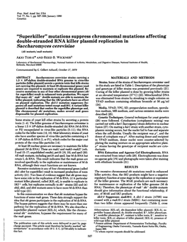 Double-Stranded RNA Killer Plasmid Replication in Saccharomyces Cerevisiae (Ski Mutants/Mak Mutants) Akio TOH-E* and REED B