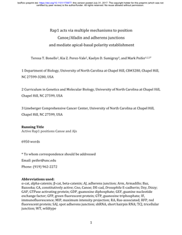 Rap1 Acts Via Multiple Mechanisms to Position Canoe/Afadin and Adherens Junctions and Mediate Apical-Basal Polarity Establishment