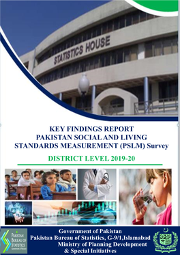 Key Finding Report of PSLM