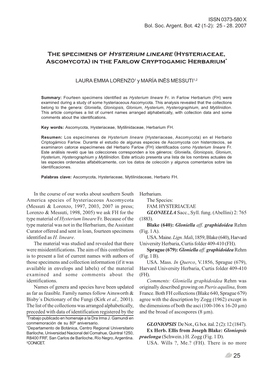 25 the Specimens of Hysterium Lineare (Hysteriaceae, Ascomycota)