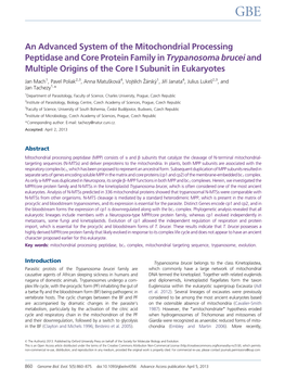 An Advanced System of the Mitochondrial Processing Peptidase and Core Protein Family in Trypanosoma Brucei and Multiple Origins of the Core I Subunit in Eukaryotes