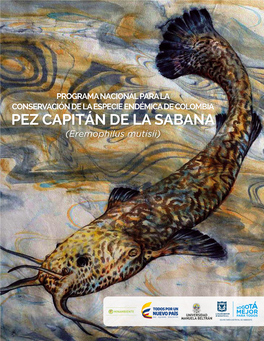 PEZ CAPITÁN DE LA SABANA (Eremophilus Mutisii)