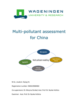 Multi-Pollutant Assessment for China