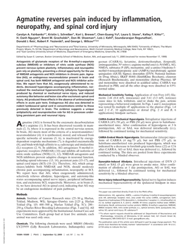 Agmatine Reverses Pain Induced by Inflammation, Neuropathy, and Spinal Cord Injury