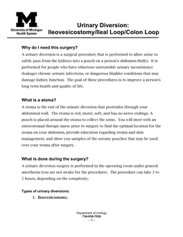 Urinary Diversion: Ileovesicostomy/Ileal Loop/Colon Loop