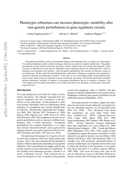 Phenotypic Robustness Can Increase Phenotypic Variability After Non