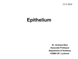 EPITHELIAL TISSUE Or EPITHELIUM • the Basic Tissue of the Body