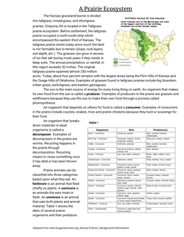 A Prairie Ecosystem the Kansas Grassland Biome Is Divided Into Tallgrass, Mixed-Grass, and Shortgrass Prairies