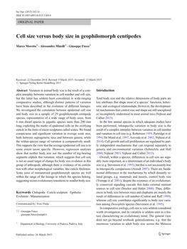 Cell Size Versus Body Size in Geophilomorph Centipedes