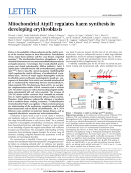 Mitochondrial Atpif1 Regulates Haem Synthesis in Developing Erythroblasts