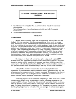 Transformation of Bacteria with Different Plasmids