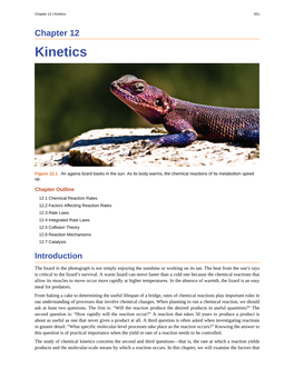 Kinetics 651