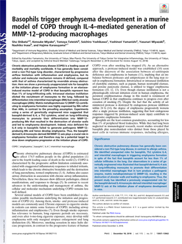 Basophils Trigger Emphysema Development in a Murine Model of COPD Through IL-4–Mediated Generation of MMP-12–Producing Macrophages