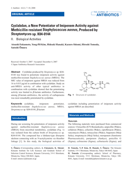 Cyslabdan, a New Potentiator of Imipenem Activity Against Methicillin-Resistant Staphylococcus Aureus, Produced by Streptomyces Sp