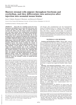 Marrow Stromal Cells Migrate Throughout Forebrain and Cerebellum, and They Differentiate Into Astrocytes After Injection Into Neonatal Mouse Brains