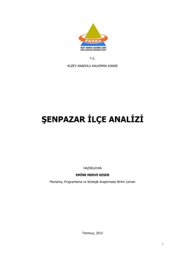 Şenpazar İlçe Analizi 1.735 KB / .Pdf