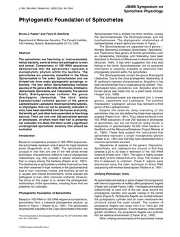 Phylogenetic Foundation of Spirochetes