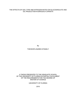 University of Florida Thesis Or Dissertation Formatting