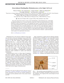 Stress-Induced Dinoflagellate Bioluminescence at the Single Cell Level