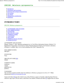 Species: Melaleuca Quinquenervia