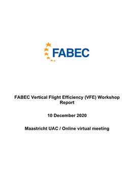 VFE Workshop Final Report