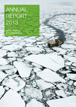 Annual Report 2013