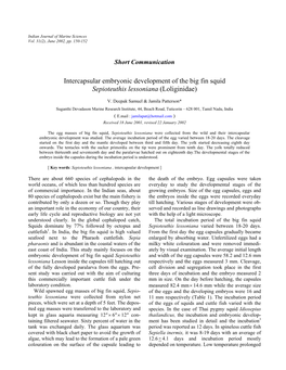 Intercapsular Embryonic Development of the Big Fin Squid Sepioteuthis Lessoniana (Loliginidae)