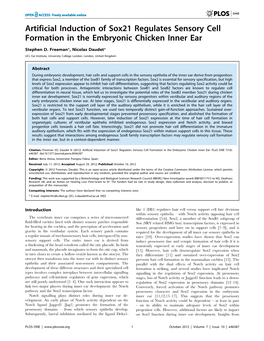 Artificial Induction of Sox21 Regulates Sensory Cell Formation in the Embryonic Chicken Inner Ear