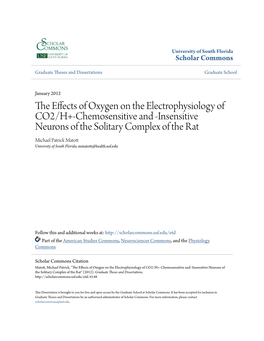 The Effects of Oxygen on the Electrophysiology of CO2/H+-Chemosensitive and -Insensitive Neurons of the Solitary Complex of the Rat