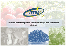 ID Card of Forest Plants Sector in Pcinja and Jablanica District