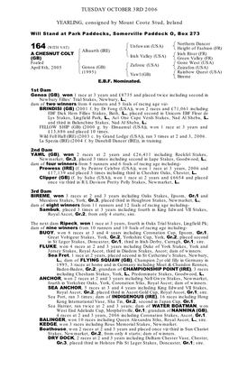 Tattersalls October Yearling Sales