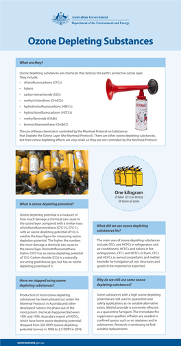 Ozone Depleting Substances