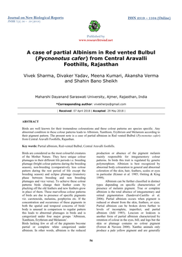 A Case of Partial Albinism in Red Vented Bulbul (Pycnonotus Cafer) from Central Aravalli Foothills, Rajasthan