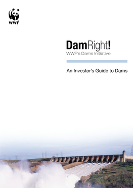 Damright! WWF’S Dams Initiative