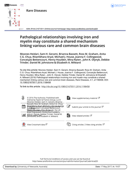 Pathological Relationships Involving Iron and Myelin May Constitute a Shared Mechanism Linking Various Rare and Common Brain Diseases