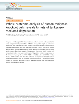 Whole Proteome Analysis of Human Tankyrase Knockout Cells Reveals Targets of Tankyrase- Mediated Degradation