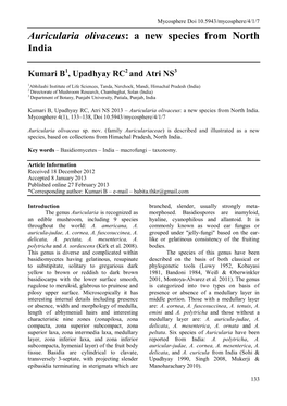 Auricularia Olivaceus: a New Species from North India